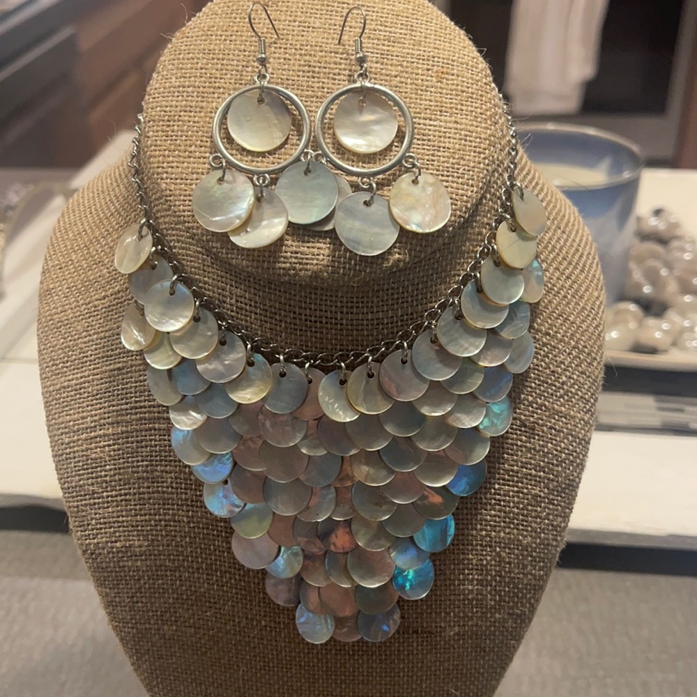 Abalone shell set